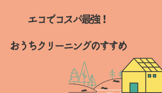 エコでコスパ最強！知らなきゃ損するお得なおうちクリーニングのすすめ